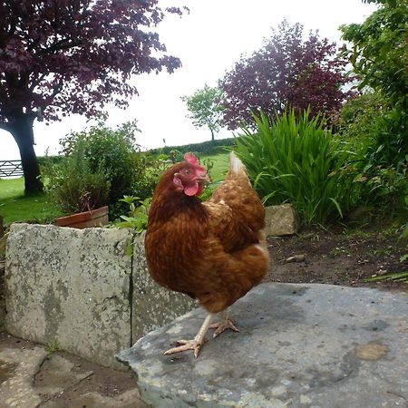 Kidwelly Farmhouse B&B Luaran gambar